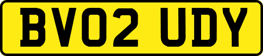 BV02UDY