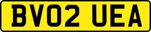 BV02UEA
