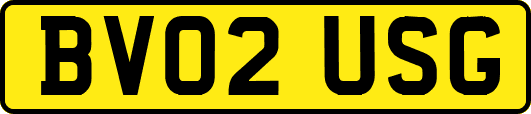 BV02USG