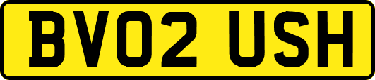 BV02USH