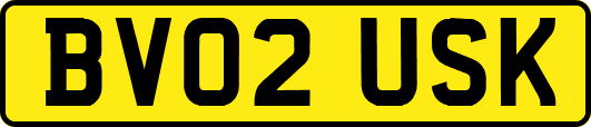 BV02USK
