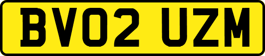 BV02UZM