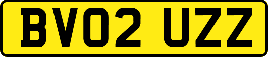 BV02UZZ