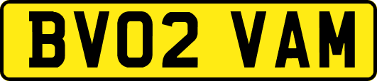 BV02VAM