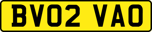 BV02VAO