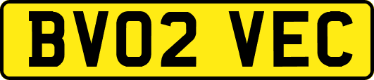BV02VEC