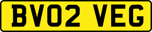 BV02VEG