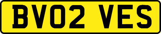 BV02VES
