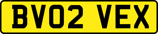 BV02VEX