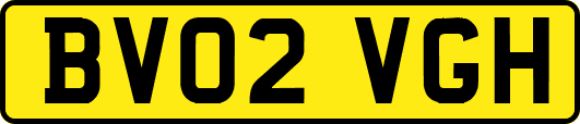 BV02VGH