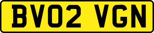 BV02VGN