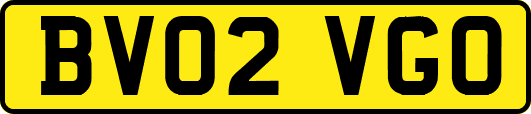 BV02VGO