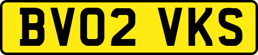 BV02VKS
