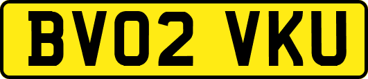 BV02VKU