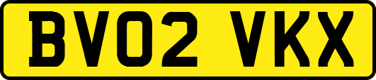 BV02VKX