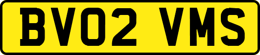 BV02VMS