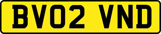 BV02VND