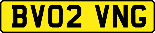 BV02VNG