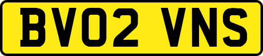 BV02VNS