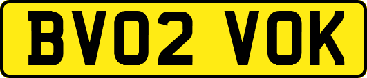 BV02VOK