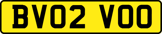 BV02VOO