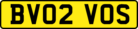 BV02VOS