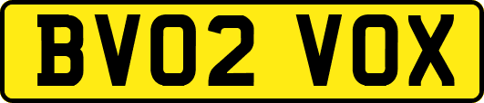 BV02VOX