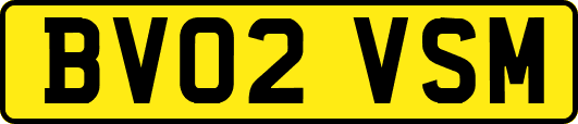 BV02VSM