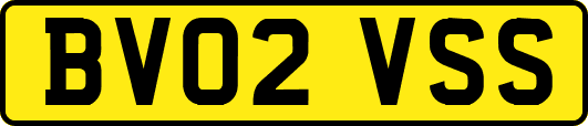 BV02VSS