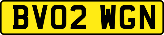 BV02WGN