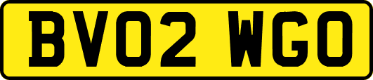 BV02WGO