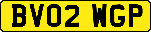 BV02WGP