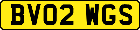 BV02WGS