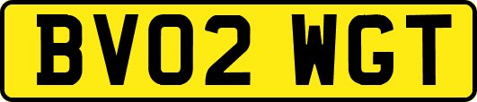 BV02WGT