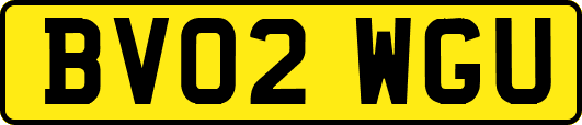 BV02WGU