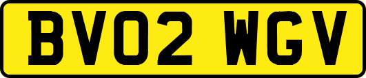 BV02WGV