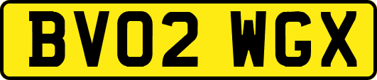 BV02WGX