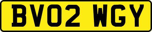 BV02WGY