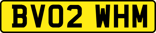 BV02WHM