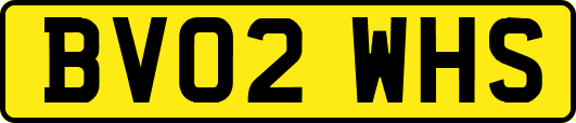 BV02WHS