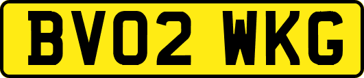 BV02WKG