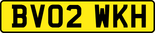 BV02WKH