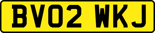 BV02WKJ