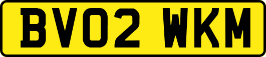 BV02WKM