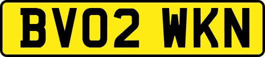 BV02WKN