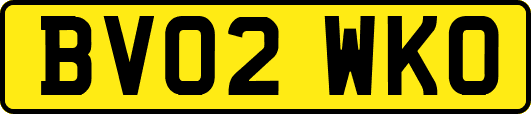 BV02WKO