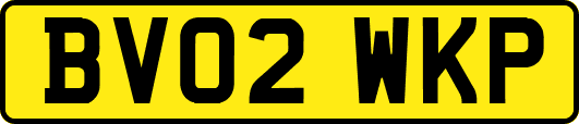 BV02WKP