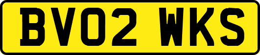 BV02WKS