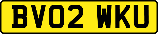 BV02WKU
