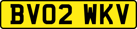 BV02WKV